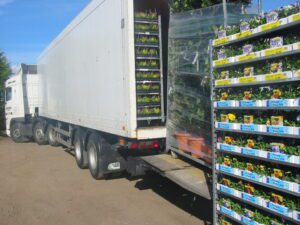 40 FT BOX TRAILER WITH DANISH PLANT TROLLEYS BEING LOADED ON THE BACK WITH A TAILLIFT