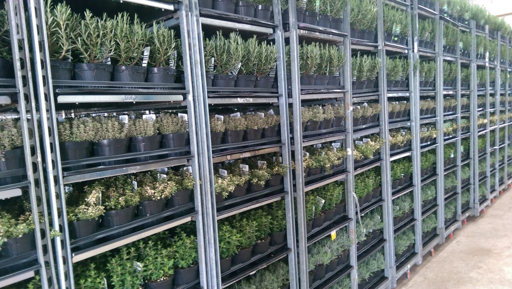multiple cc danish plant trolley with plants on