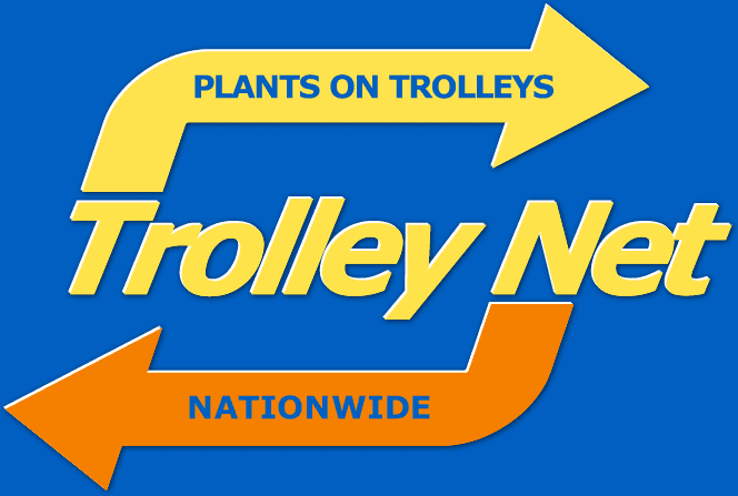 trolleynet 2019 new.fw